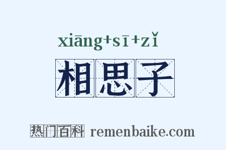 相思子是什么意思的图片